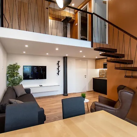 Gami Ex-factory Lofts 卢布尔雅那