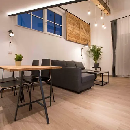 Gami Ex-factory Lofts 卢布尔雅那